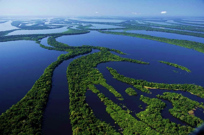Conheça o ecoturismo na floresta amazonica brasileira